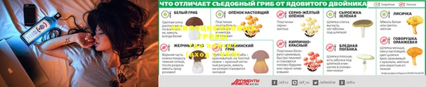кокаин перу Белокуриха
