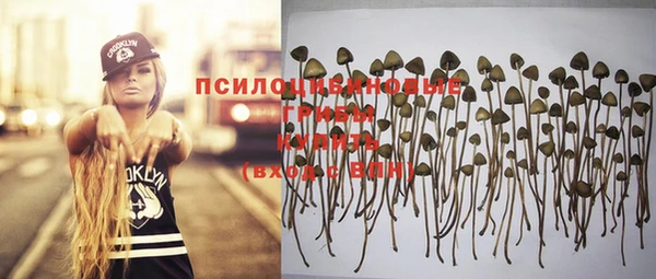 не бодяженный Сосновый Бор